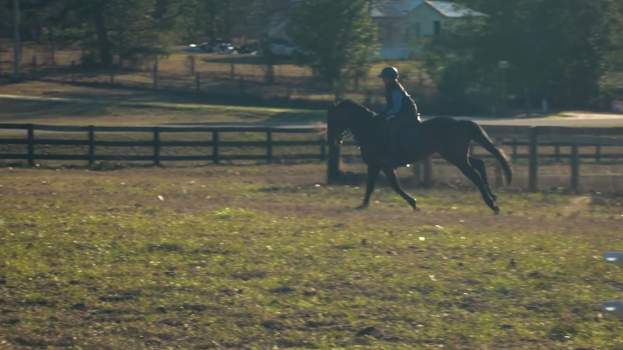 Confidence Game - An OTTB to Remember | Colleen Routledge