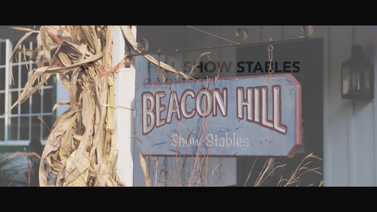 Beacon Hill Show Stables Barn Tour | Stacia Madden | PART 02