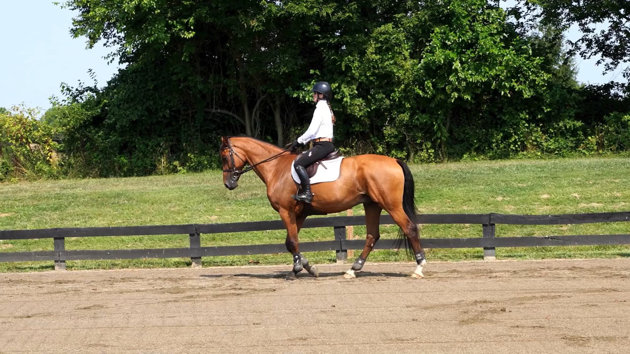 Canter 