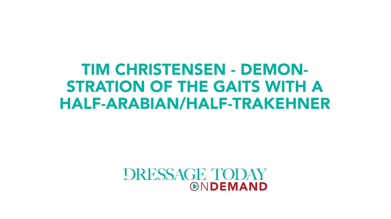 A Demonstration of the Gaits with a Half Arabian/ Trakehner | Tim Christensen
