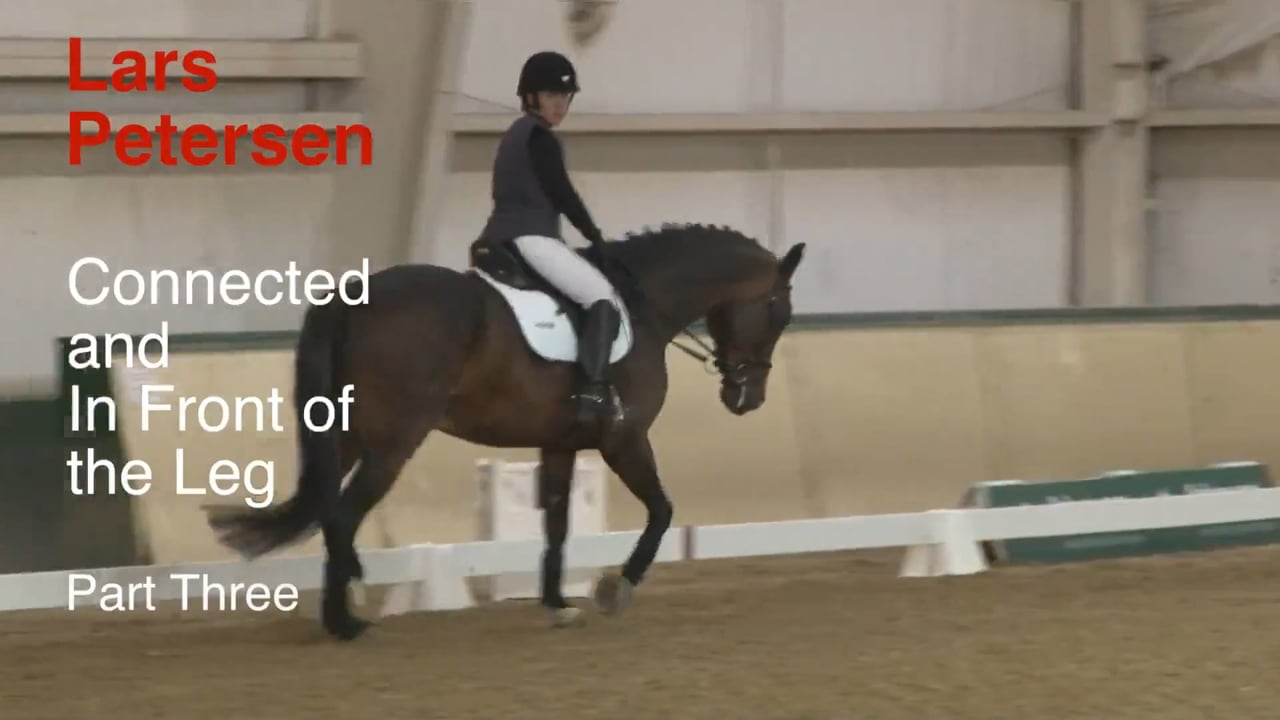 Connected and In Front of the Leg - Trot Leg Yields | Lars Peterson | PART 03