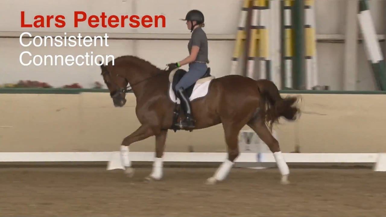 Consistent Connection | Lars Petersen | INTRO