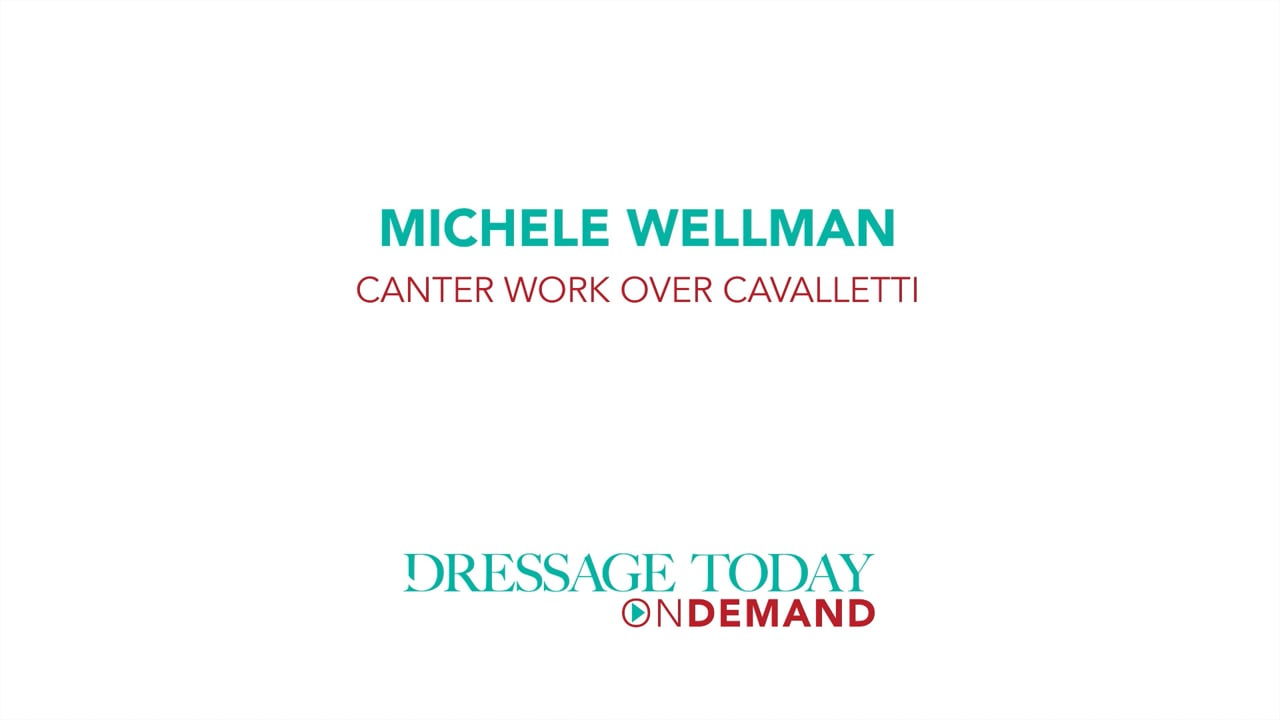 Canter Work Over Cavalletti