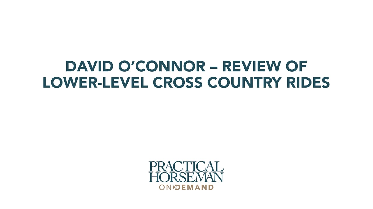 Review of Lower-Level Cross Country Rides | David O'Connor