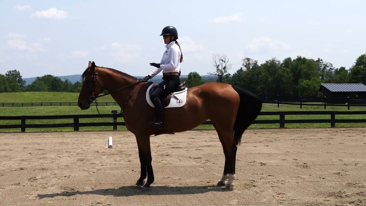 Adjusting the Horse's Stride Over Poles | Sloane Coles