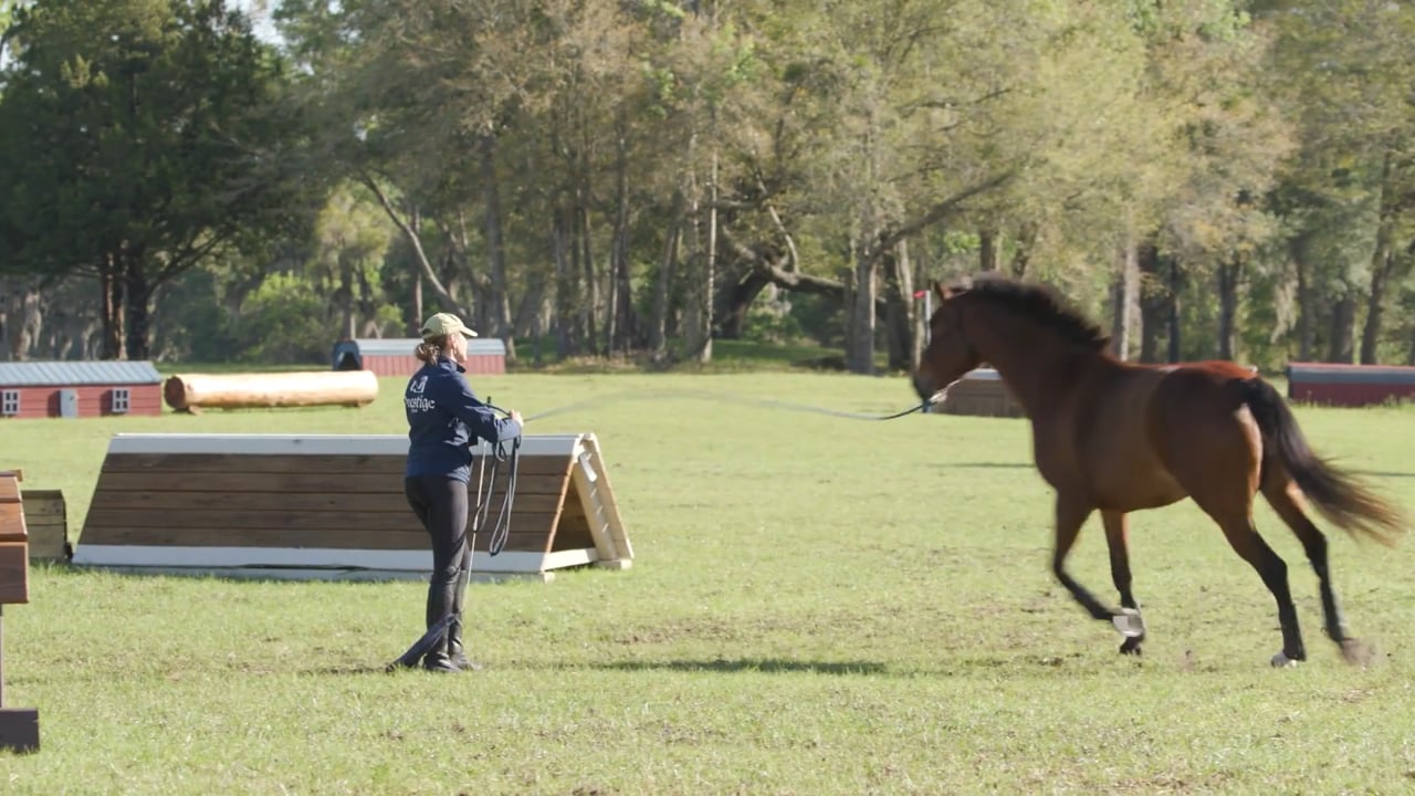 Basic Groundwork Skills Away From Home | Chelsea Canedy | PART 03