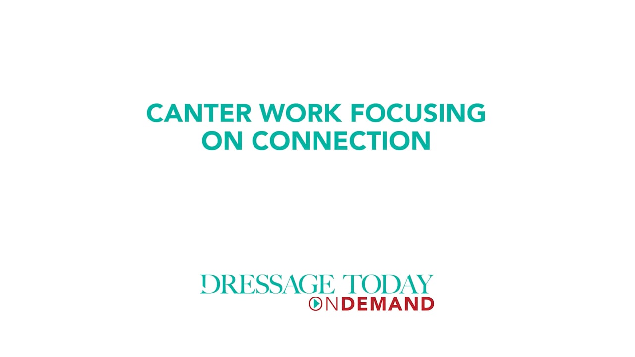 Canter Work Focusing on Connection | Laura Ashley Killian
