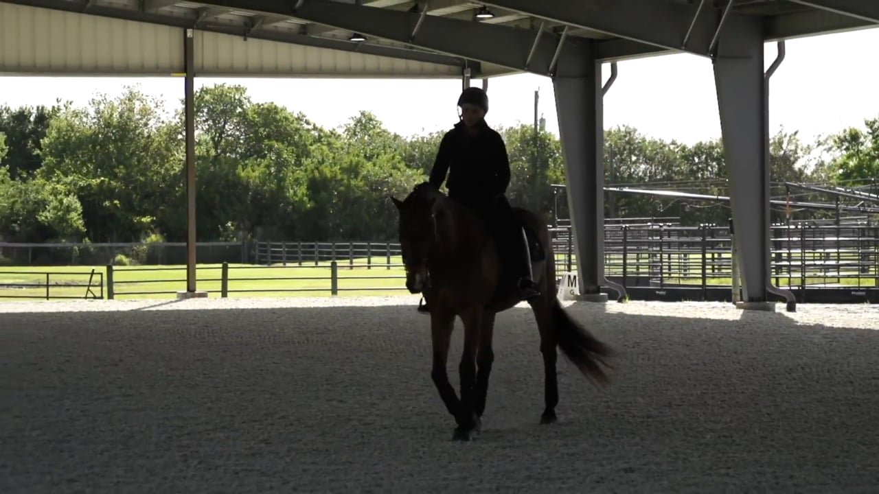 Canter Half Pass | Janet Foy