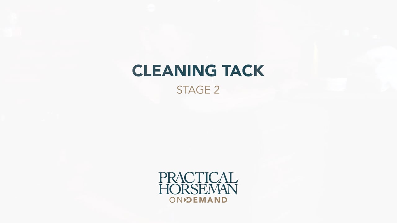 Cleaning Tack - Stage 2 | Laurie Pitts