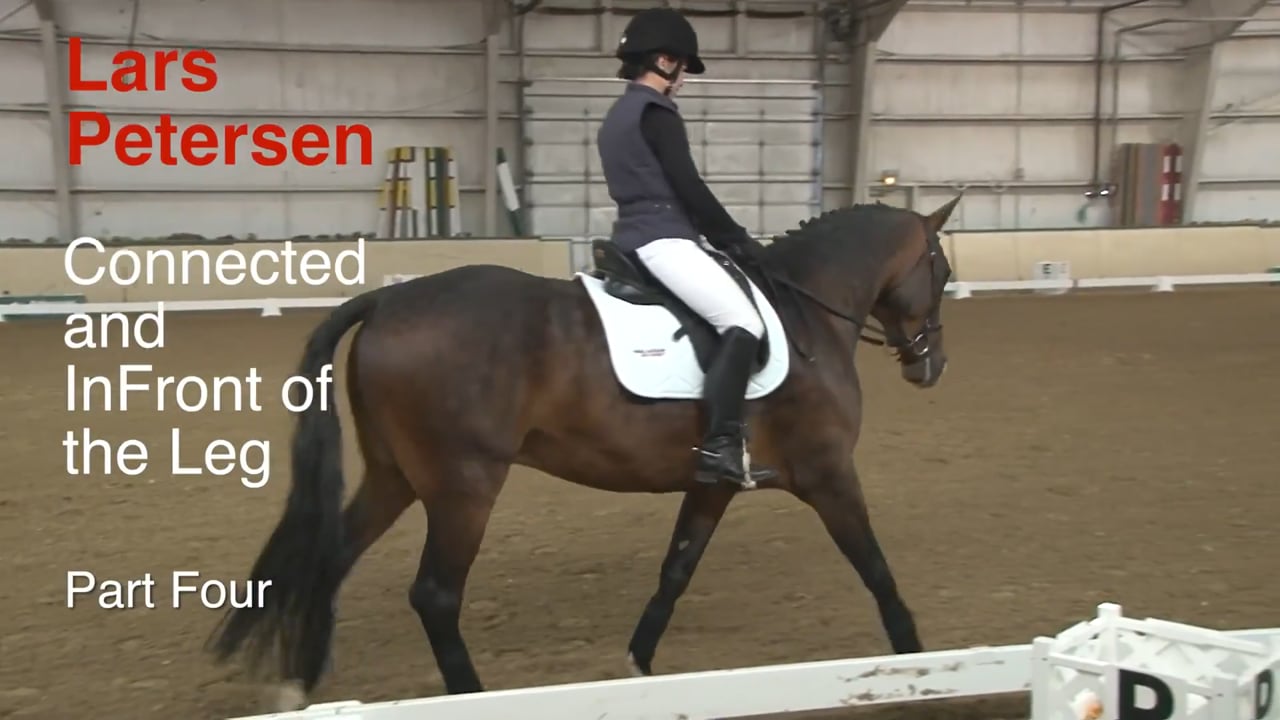 Connected and In Front of the Leg - Canter Work | Lars Peterson | PART 04