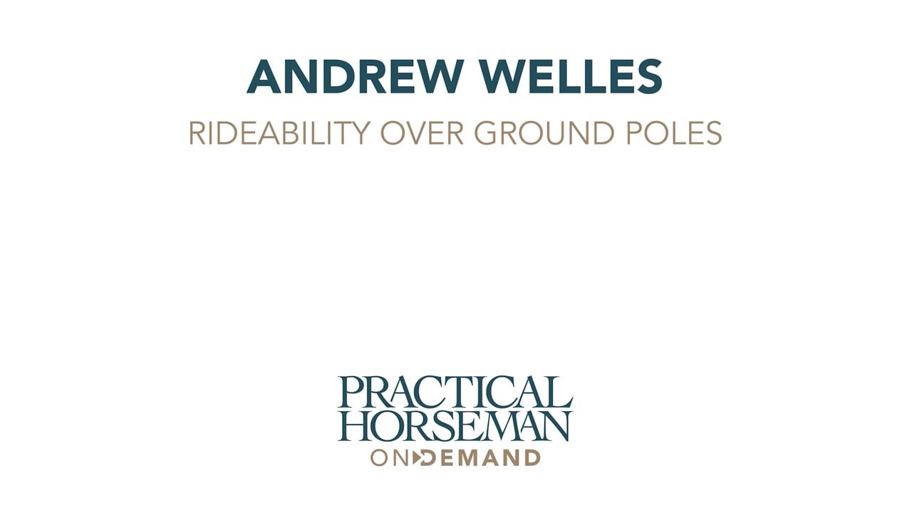 Canter Control - Rideability Over Ground Poles | Andrew Welles | PART 03