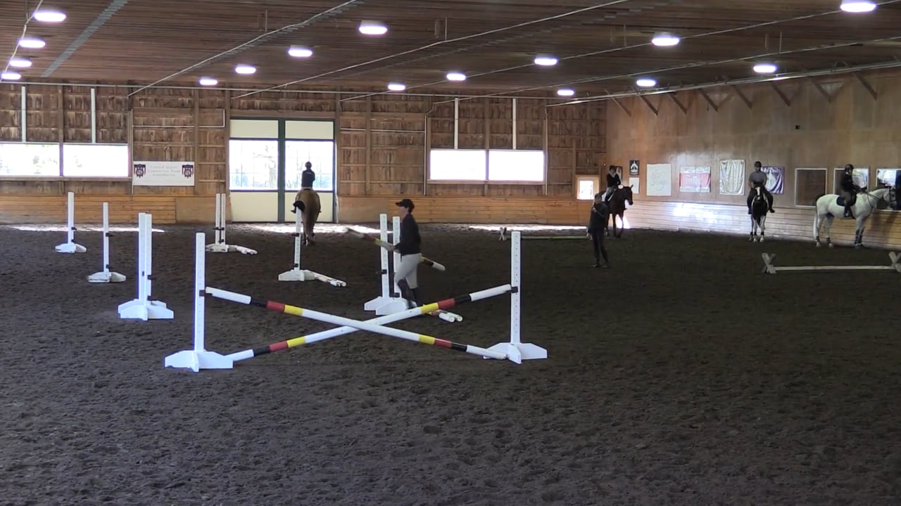 Day 1 Session 2 - Gymnastic Exercise | Anne Kursinski | PART 02