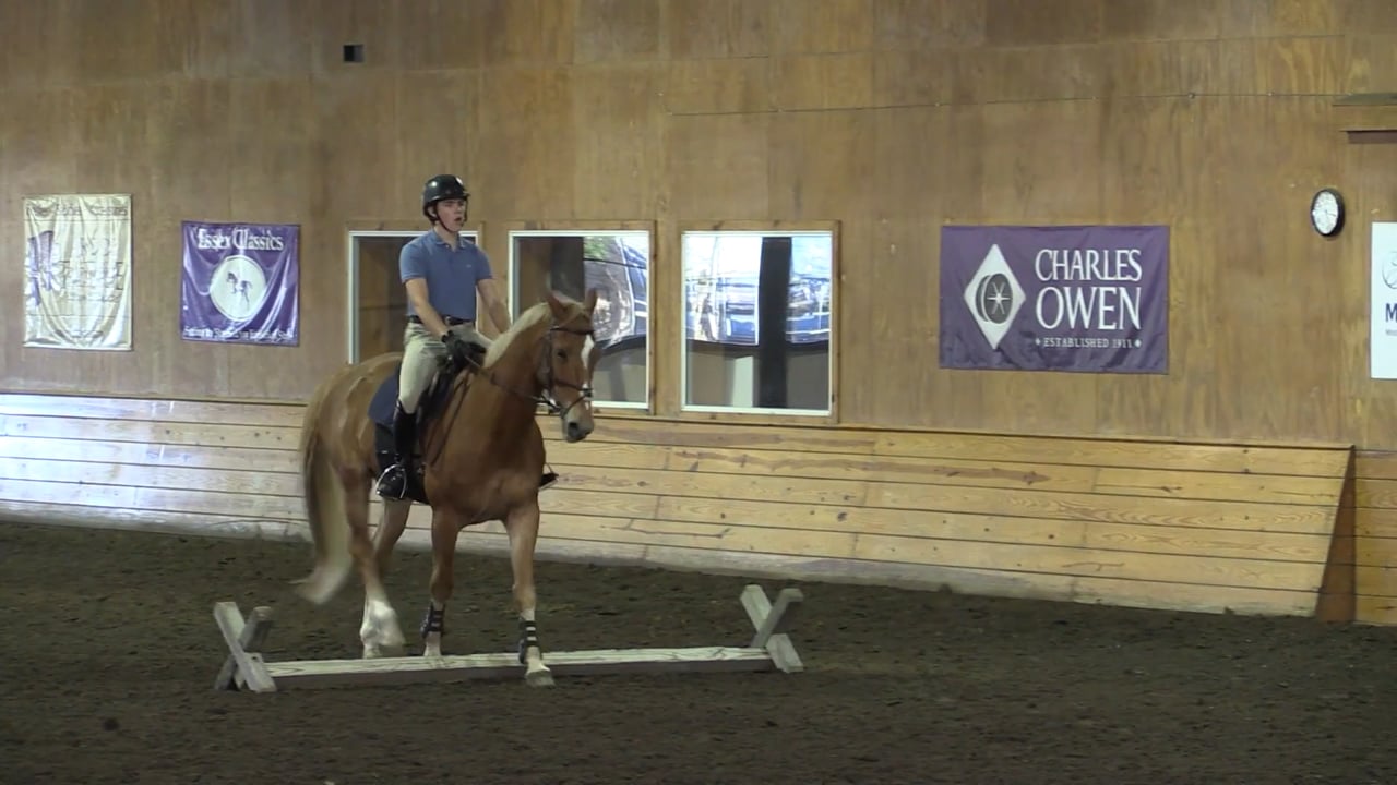 Day 1 Session 3 - Cavalletti Exercise | Anne Kursinski | PART 01