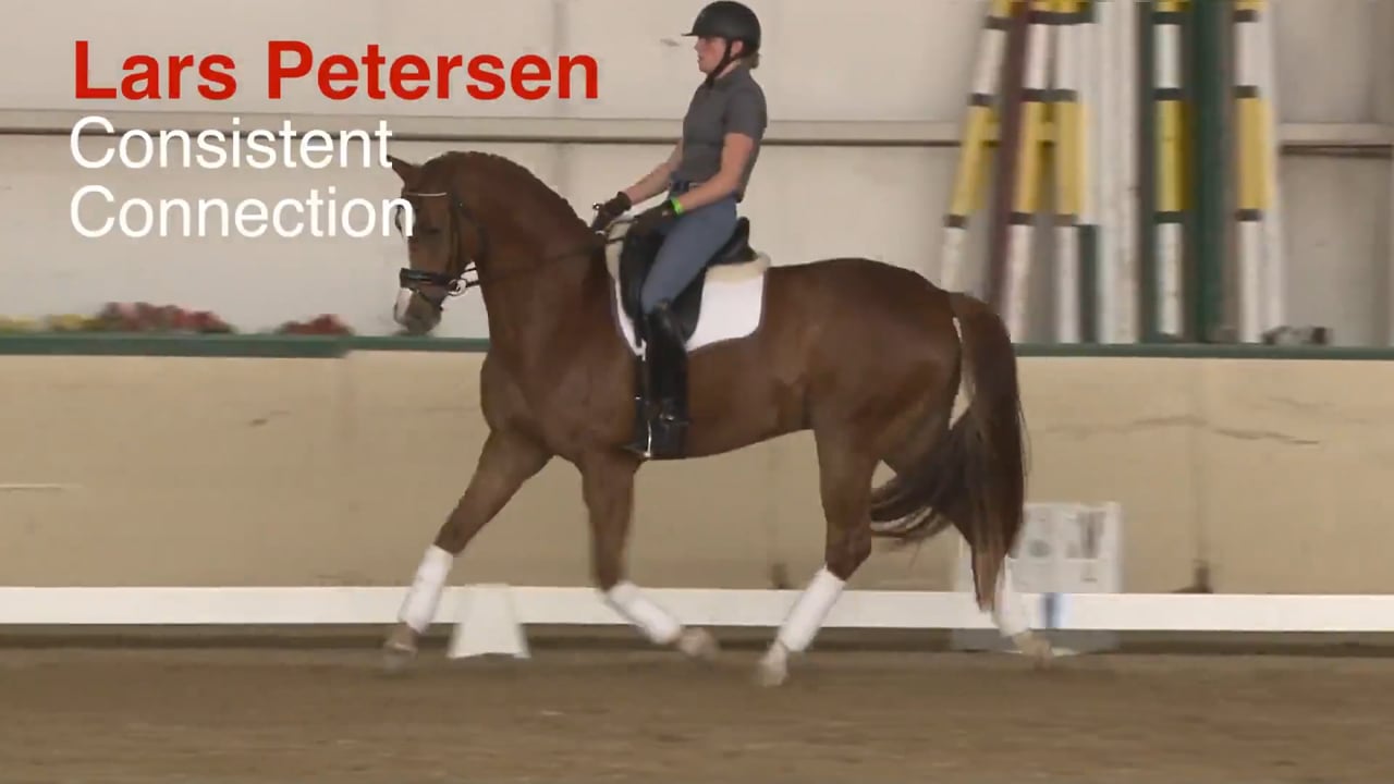 Consistent Connection | Lars Petersen | PART 02