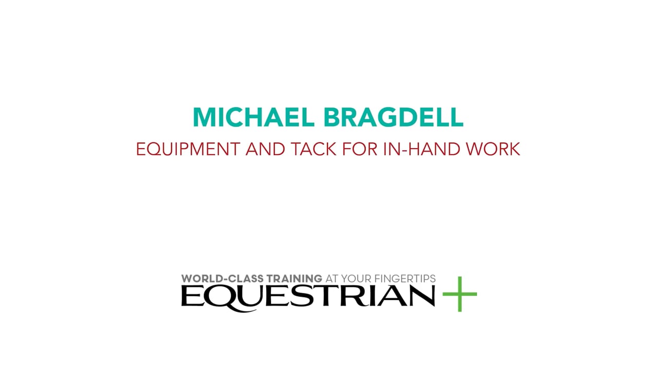 Equipment and Tack for In-Hand Work | Michael Bragdell