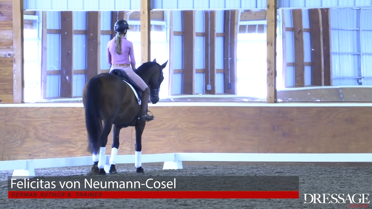 Balance and Engagement through Serpentines | Felicitas von Neumann-Cosel