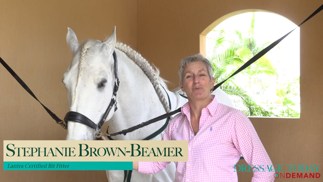Bridle Fit for Comfort and Performance | Stephanie Brown-Beamer
