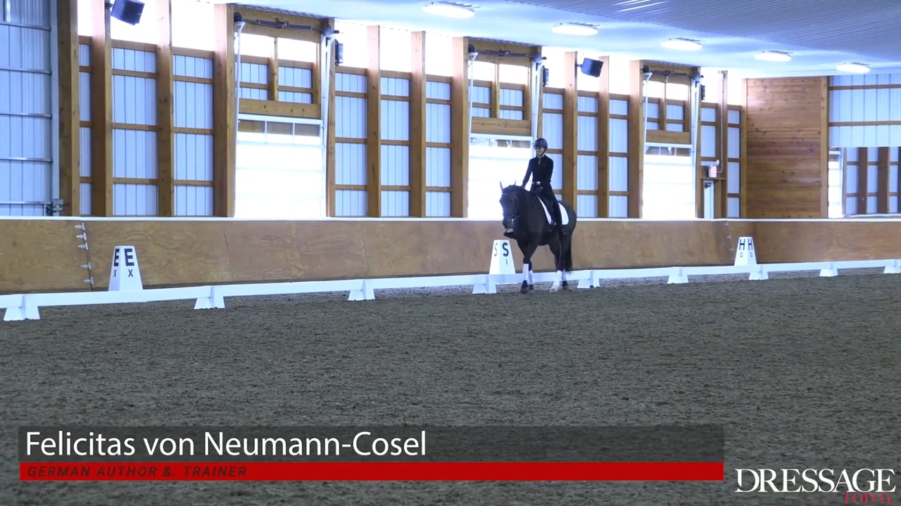 All Levels, Collective Marks - Impulsion with Catherine Haddad