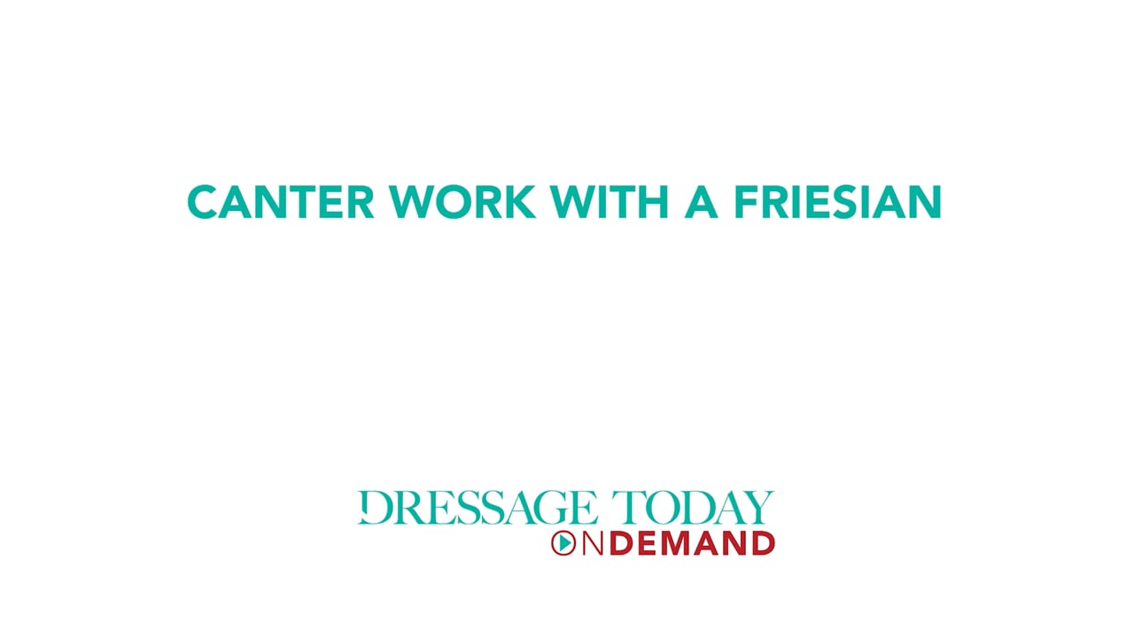 Canter Work with a Friesian | Adrienne Lyle