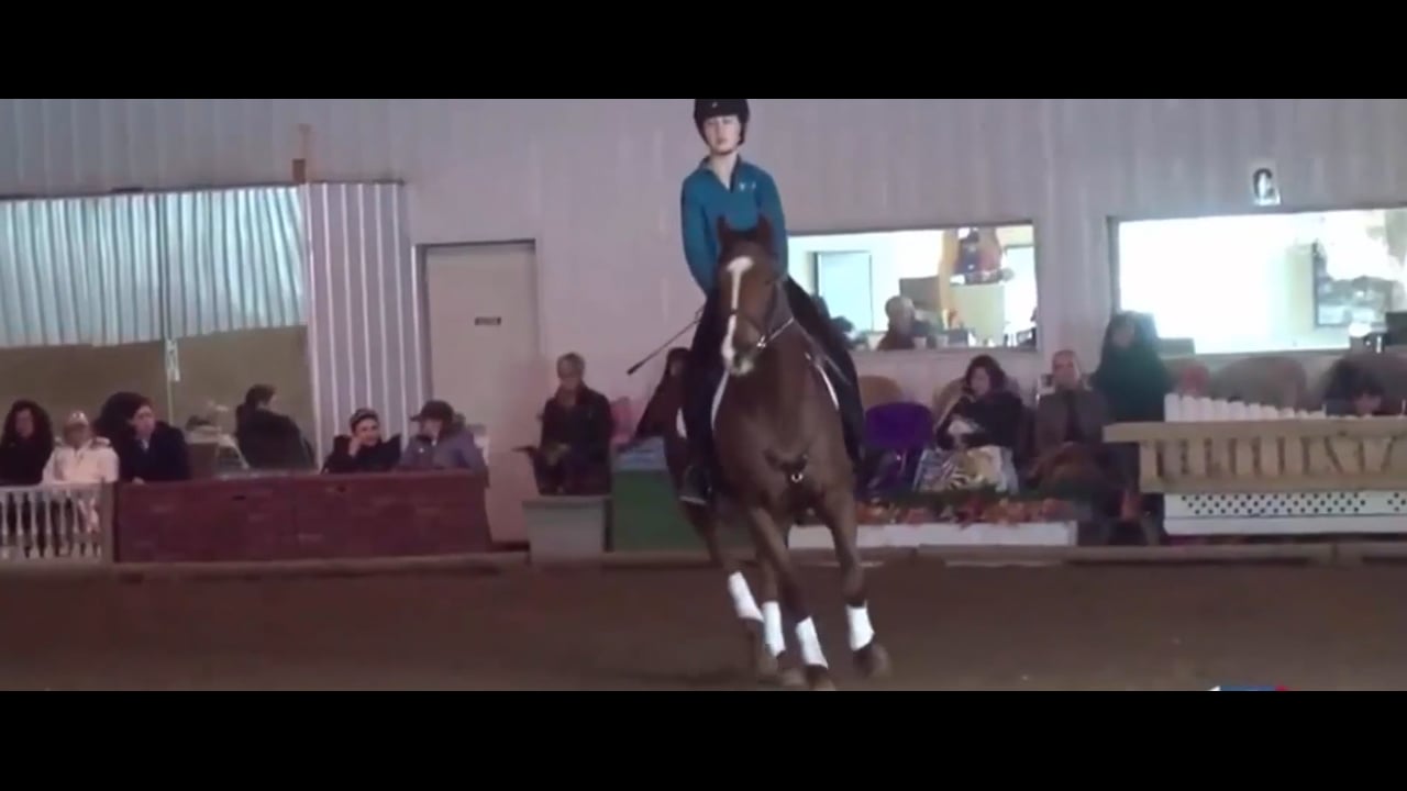 Featured Banner | Allison Springer