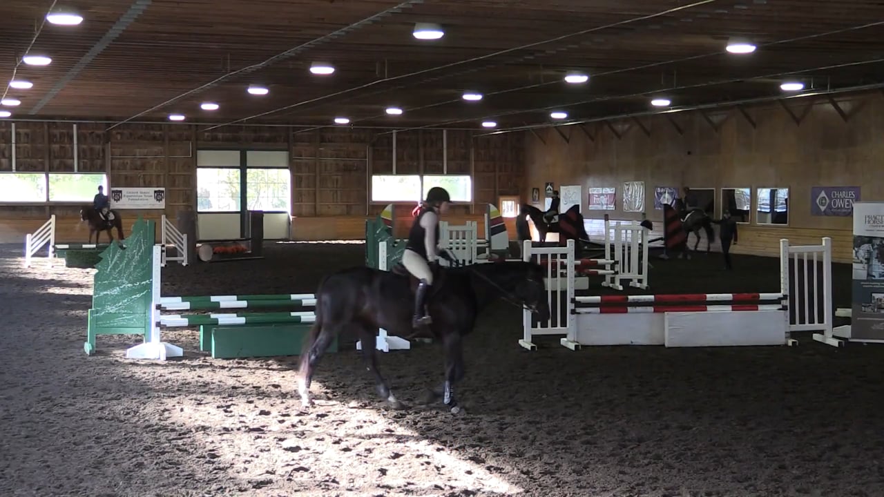 Day 3 Session 1 - Jumping Warm-up | Anne Kursinski