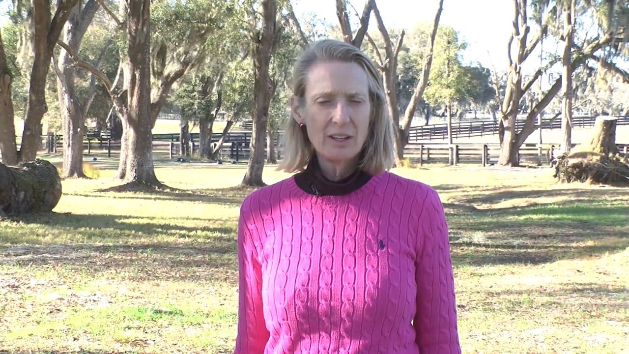 Explanation of ICP Symposium Format | Jennifer Rosseau