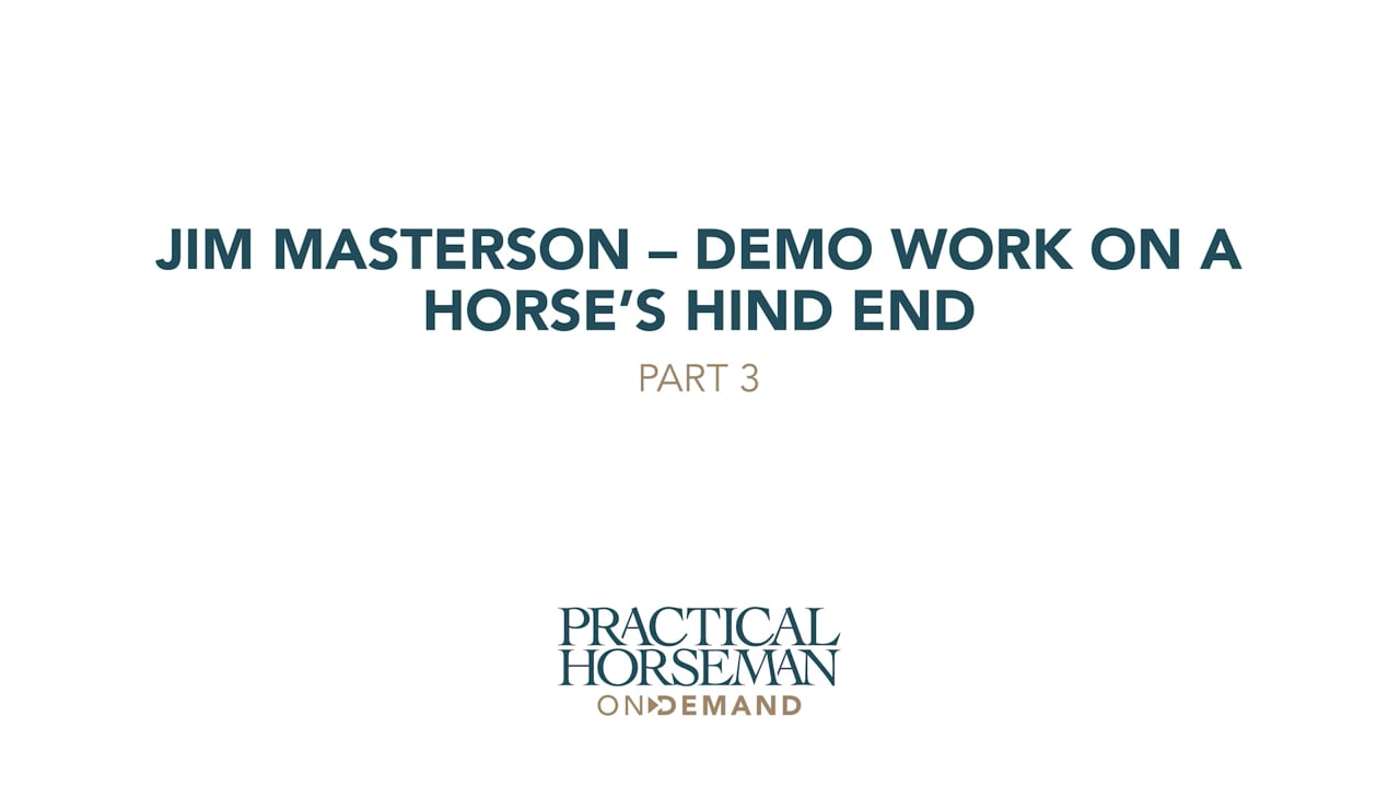 Demo Work on a Horse’s Hind End | Jim Masterson | PART 03