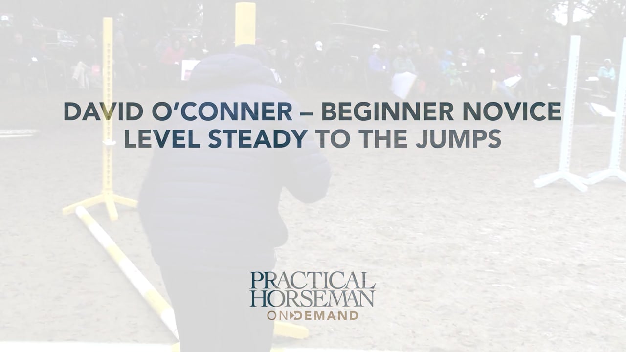 Beginner Novice Steady to the Jumps | David O'Connor