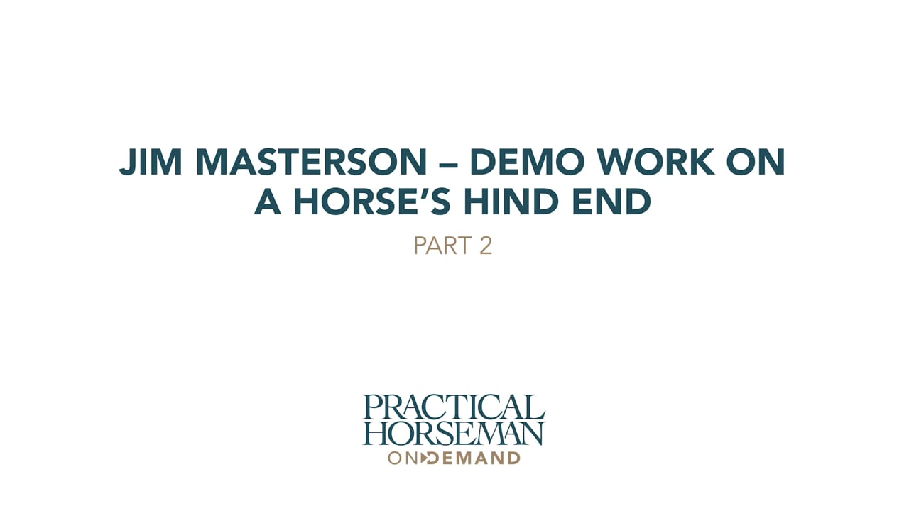 Demo of Work on a Horse’s Hind End | Jim Masterson | PART 02