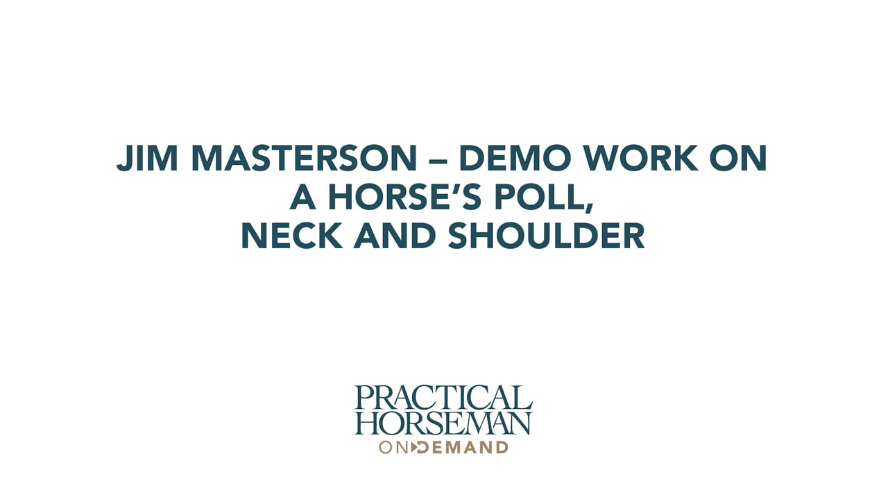 Demo Work on a Horse's Poll, Neck and Shoulder | Jim Masterson
