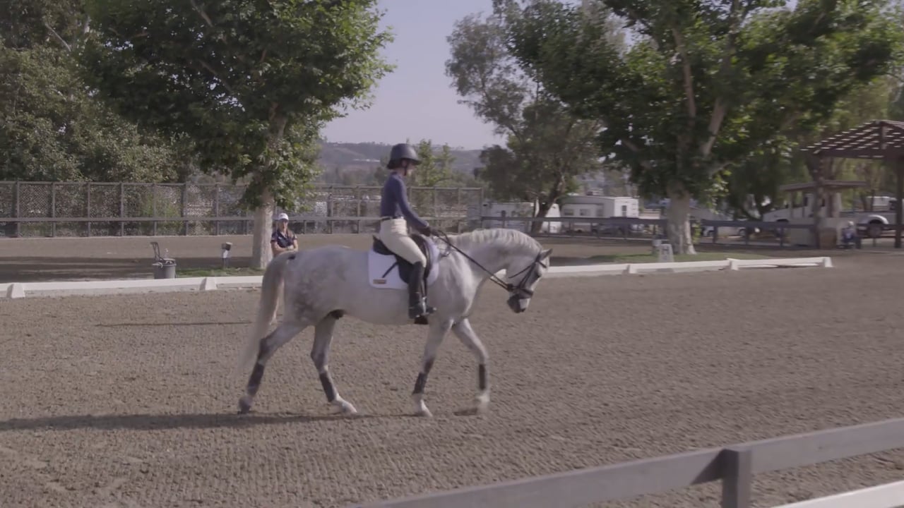 Dressage Walk/Trot Warm-Up for a Young Event Horse | Liz Halliday-Sharp
