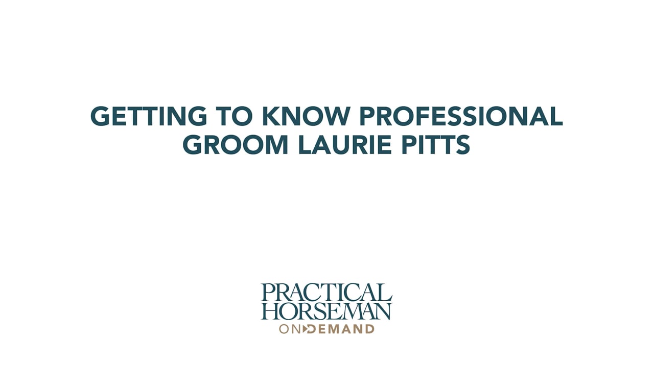 Getting to Know a Professional Groom | Laurie Pitts
