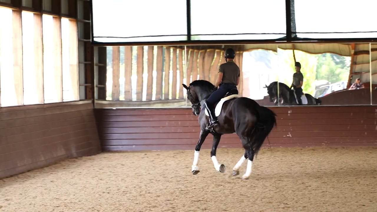 Finesse in the Canter | Olivia Lagoy-Weltz | PART 03