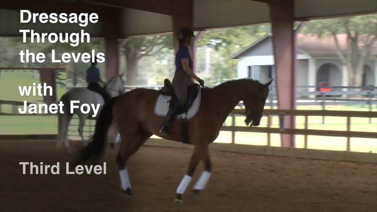 Dressage Through the Levels 2017 - Third Level | Janet Foy | PART 02