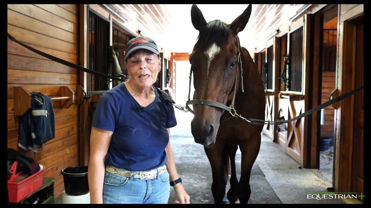 Grooming the Horse: Finishing Touches | Laurie Pitts