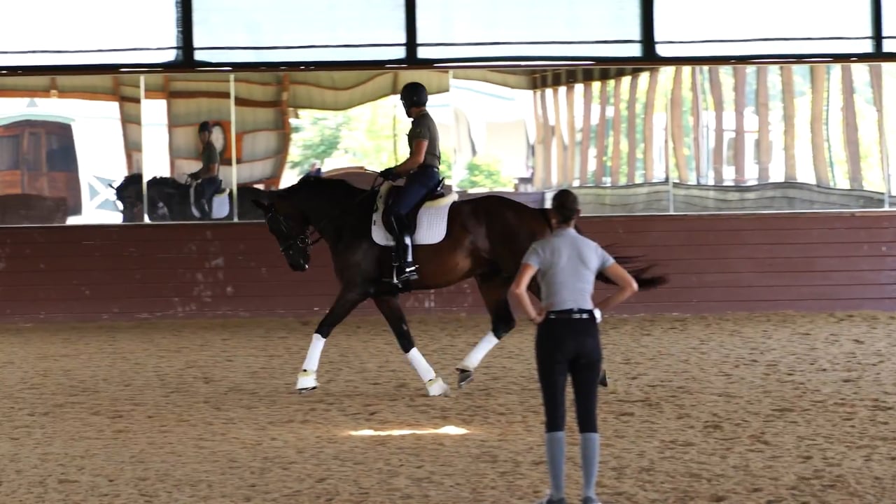 Finesse in the Canter Work Part 2