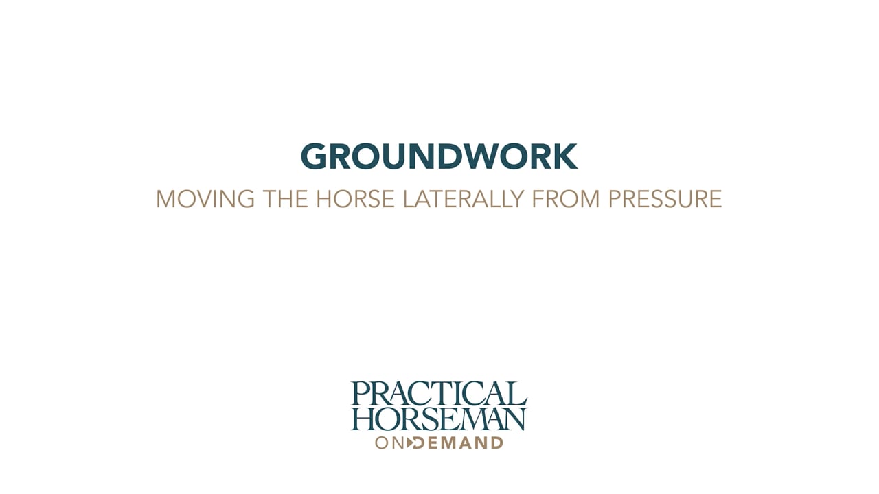 Groundwork - Moving the Horse Laterally From Pressure | Chelsea Canedy