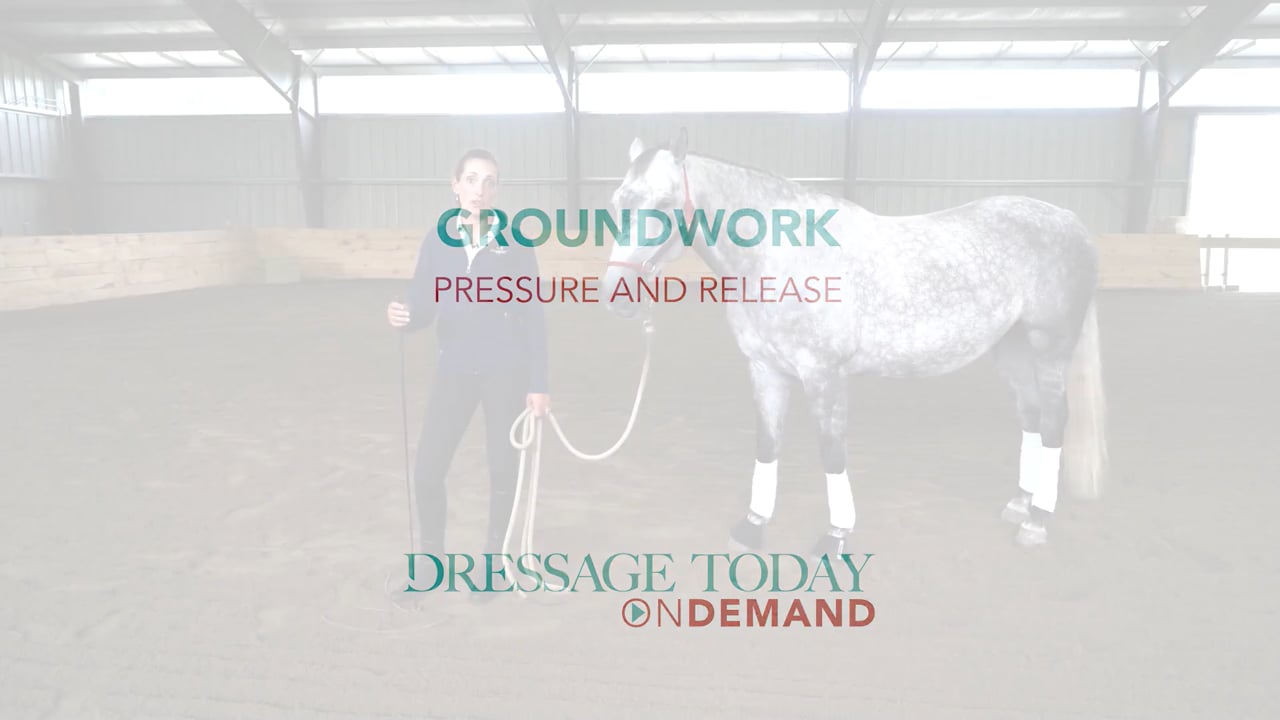 Groundwork - Pressure and Release | Chelsea Canedy