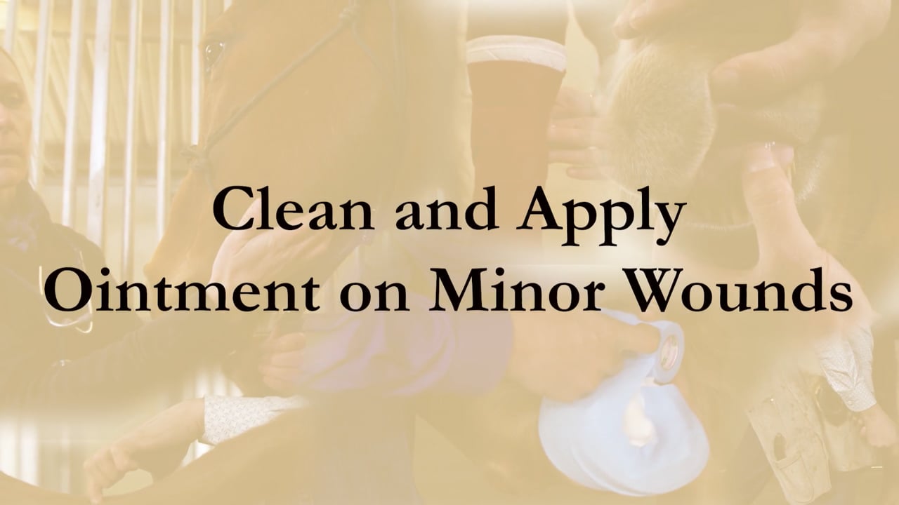 How to Clean and Apply Ointment on Minor Wounds | Sina Parsaye