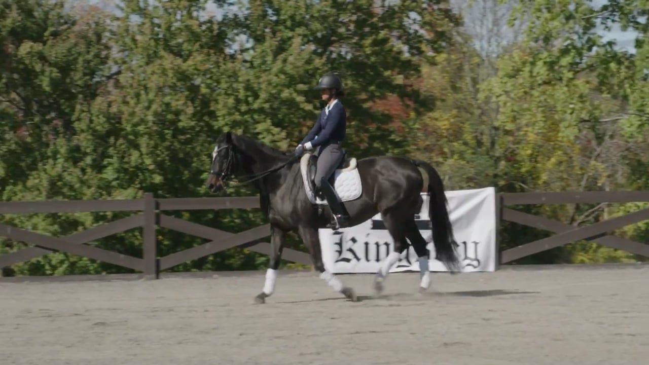 Establish Sensitivity to the Leg | Steffen Peters | PART 02