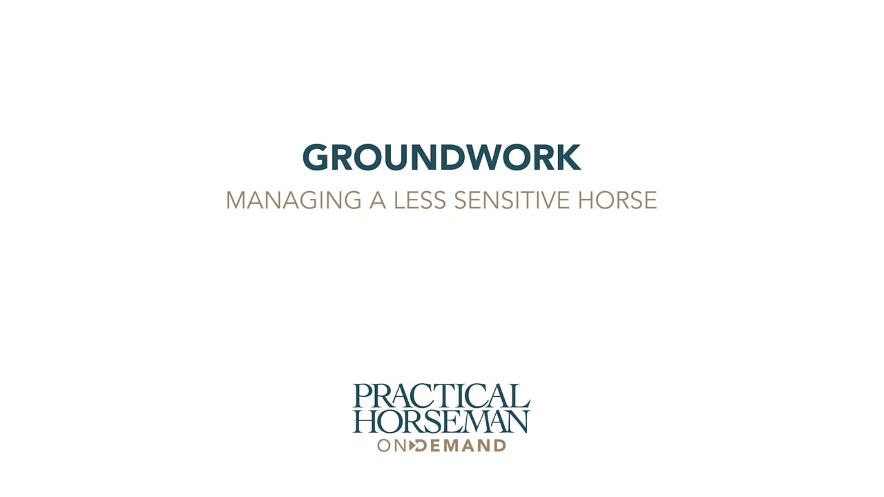 Groundwork - Managing a Less Sensitive Horse | Chelsea Canedy