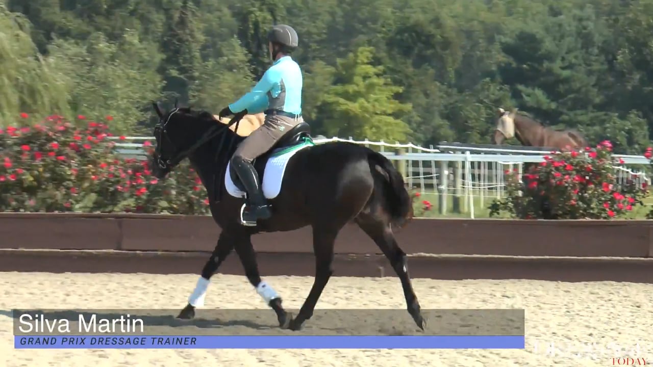 Dressage Is A Numbers Game | Carl Hester and Richard Davison | PART 03