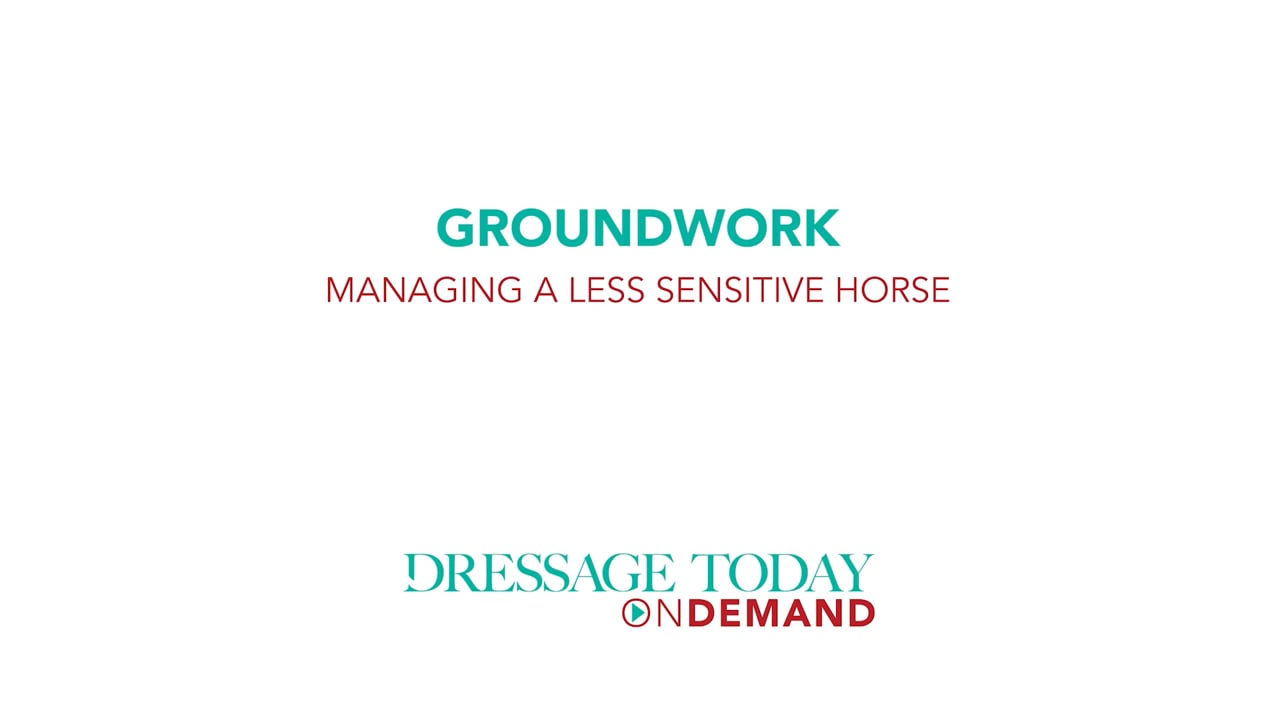 Groundwork - Managing a Less Sensitive Horse | Chelsea Canedy