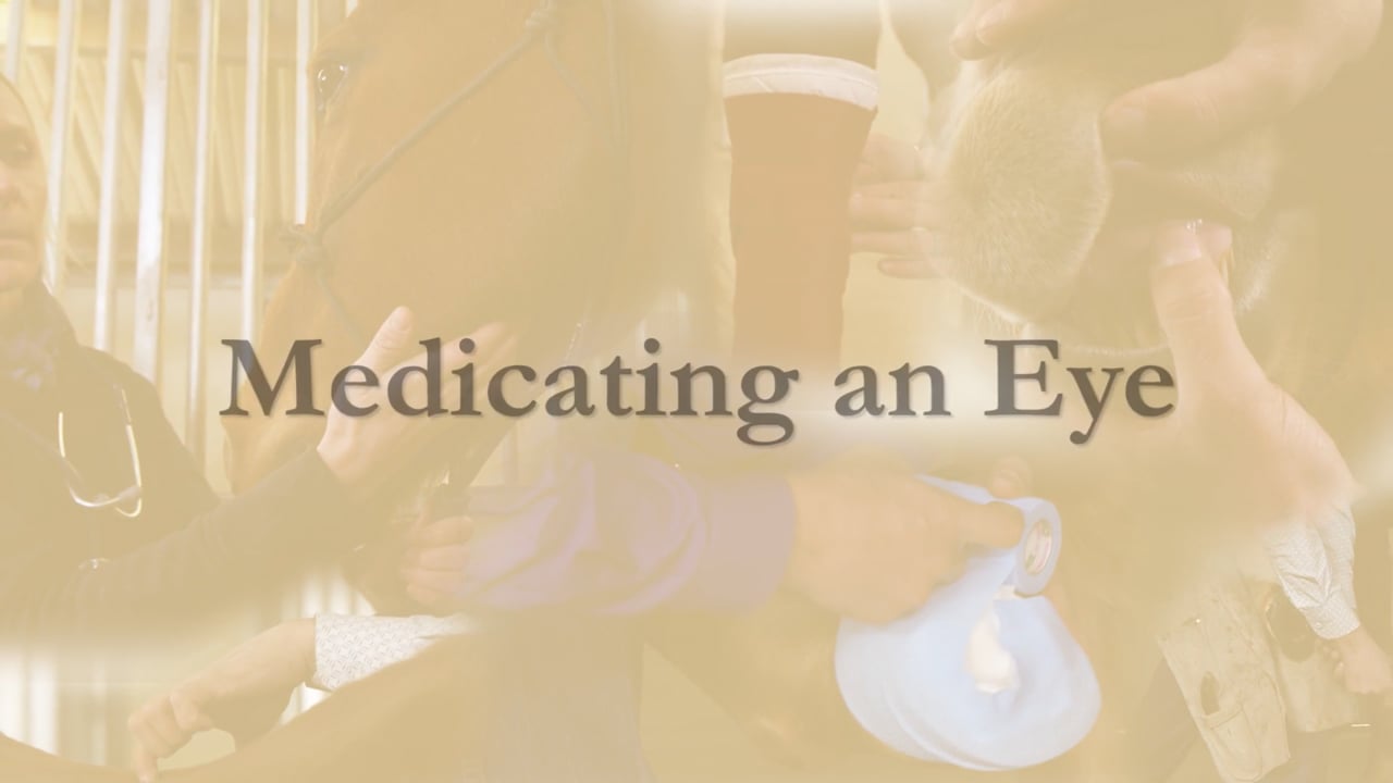Medicating an Eye
