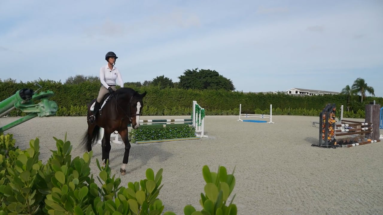 Hunter Under-Saddle Tips at the Canter | Keri Kampsen