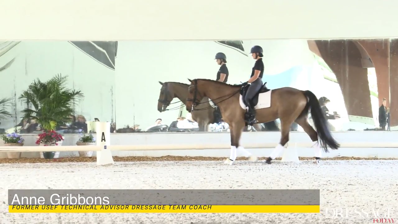 2020 Adequan/USDF Trainers Conference: Third Level | Anne Gribbons | DAY 01