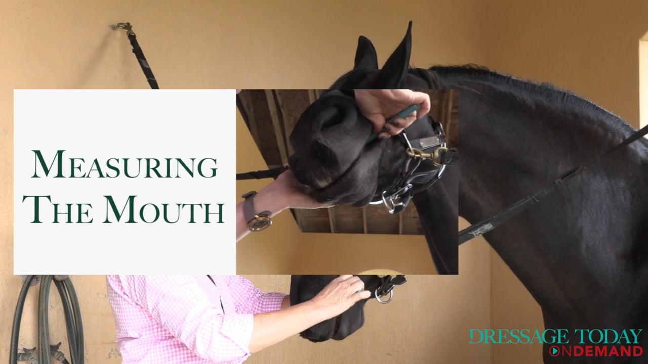 How to Measure Your Horse's Mouth for a Bit | Stephanie Brown-Beamer