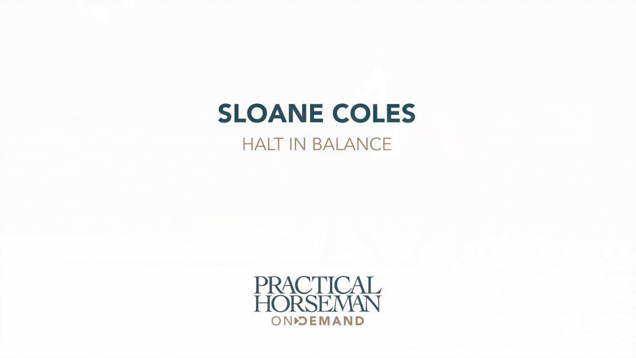 Halt in Balance | Sloane Coles