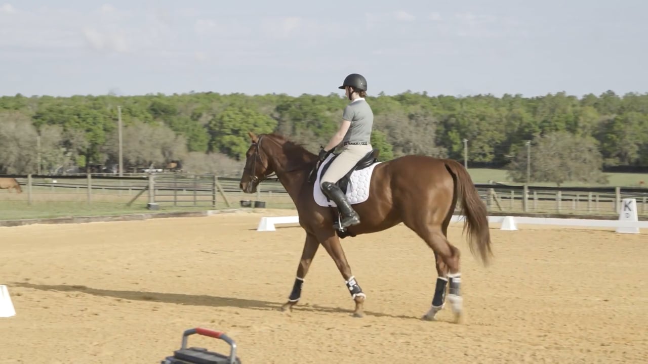 Event Rider Biomechanics | Stephany Fish Crossman | PART 02