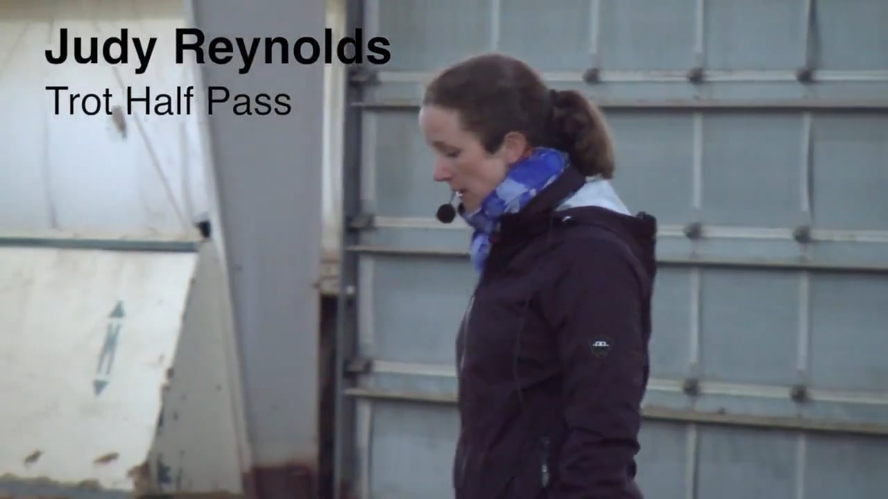 Trot Half Pass | Judy Reynolds | PART 05